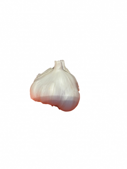 Garlic Cluster