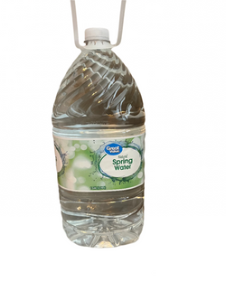 Store Brand Spring Water 1 Gallon
