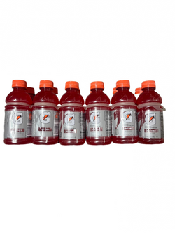 Gatorade Fruit Punch 12oz 12pk