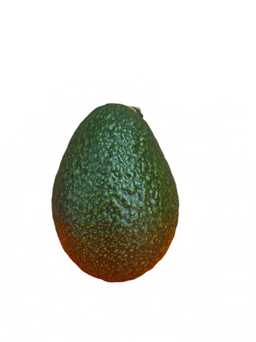 Avocado Hass