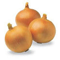 Yellow Onion-one onion